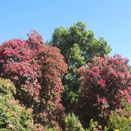 Appartement Apartmentslagodicomo *