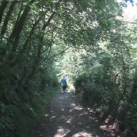 Apartmentslagodicomo Appartement Acquaseria