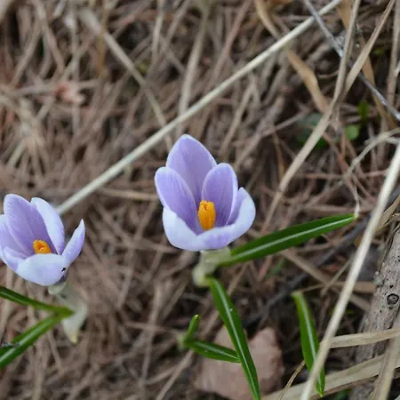 Apartmentslagodicomo Appartement Acquaseria