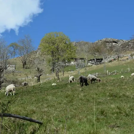 Apartmentslagodicomo Acquaseria