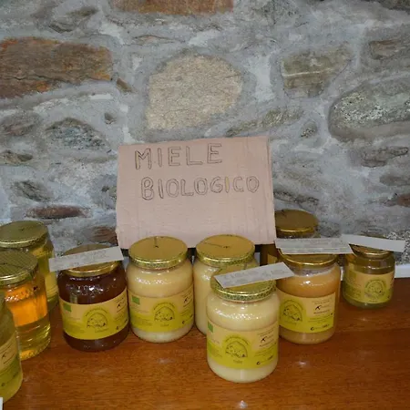 Daire Apartmentslagodicomo *