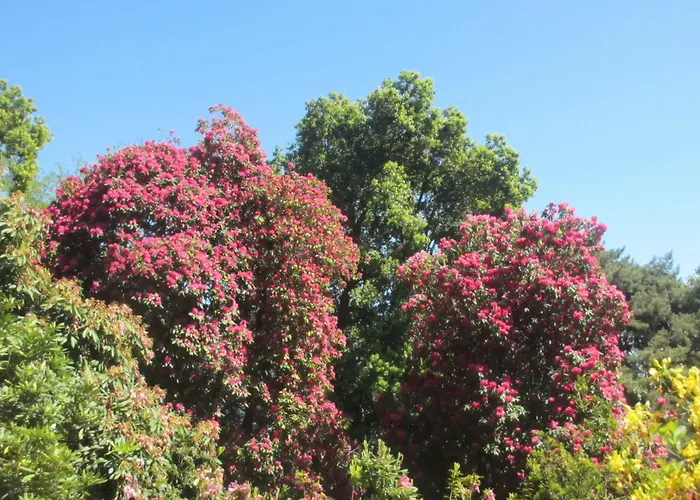 公寓 Apartmentslagodicomo *