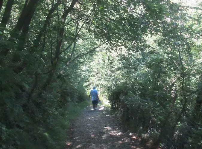 Apartmentslagodicomo 公寓 Acquaseria