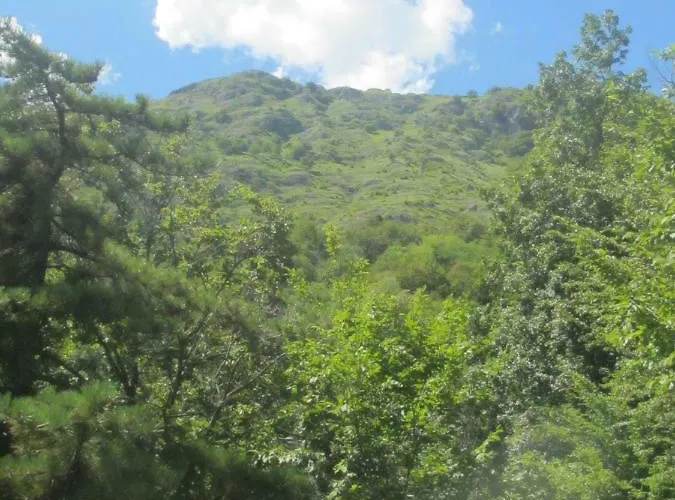 Apartmentslagodicomo * Acquaseria