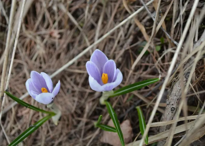 Apartmentslagodicomo 公寓 Acquaseria