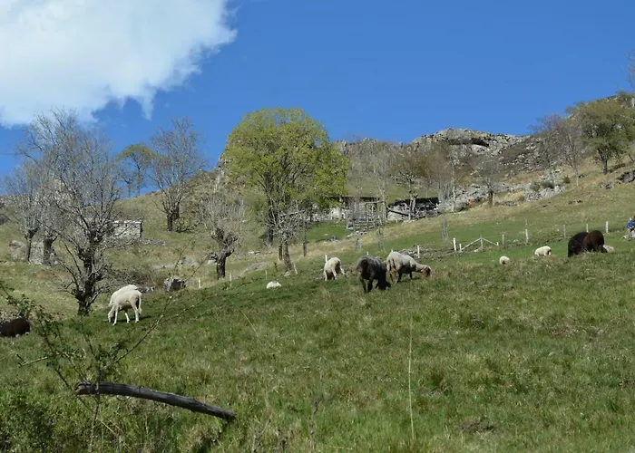 Apartmentslagodicomo Acquaseria