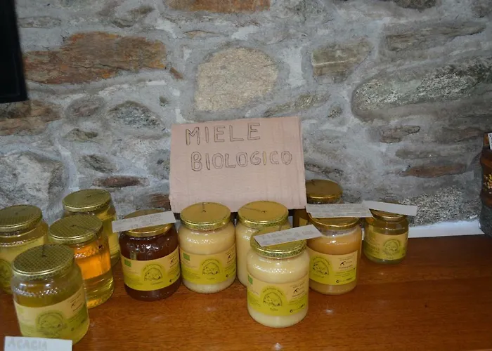 公寓 Apartmentslagodicomo *