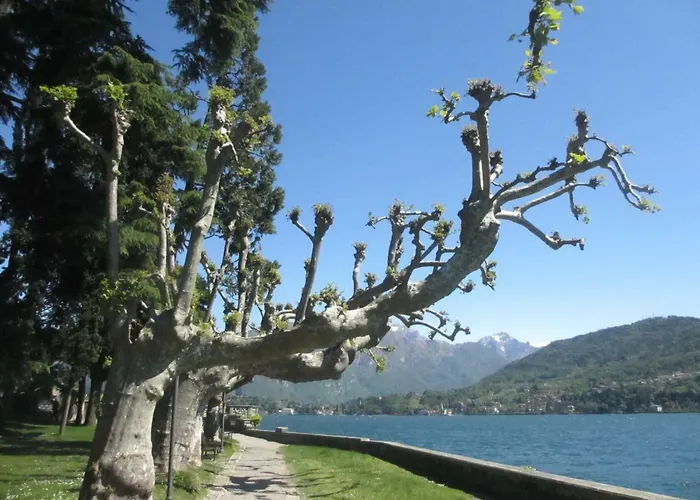 Apartmentslagodicomo